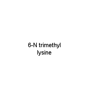 6-N trimethyl lysine